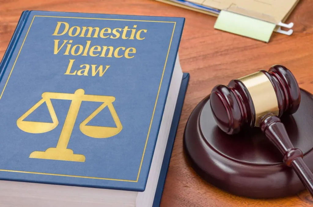 How Long Does Domestic Violence Stay On Your Record in North Carolina, Durham