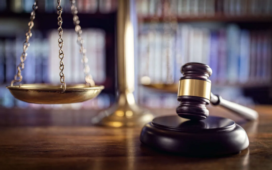 What is Business Litigation?